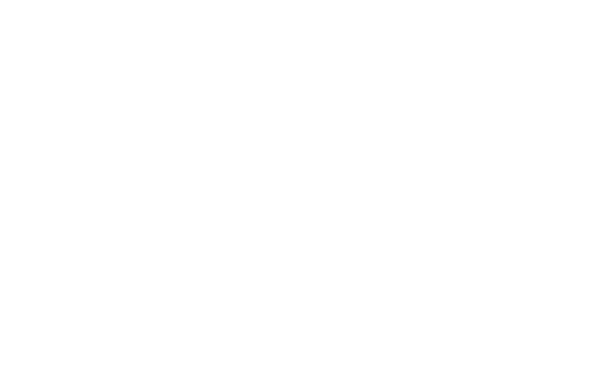 Logo_LC-Auensee_weiss